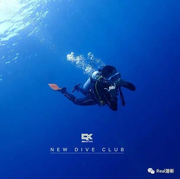 智能汽车拼图